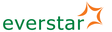 everstar-travel.online